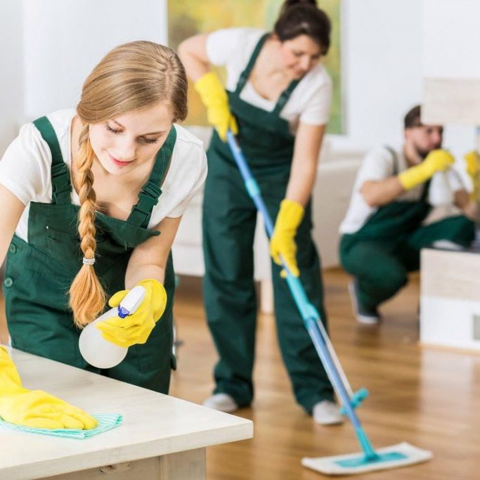 cleaningservice-1024x683